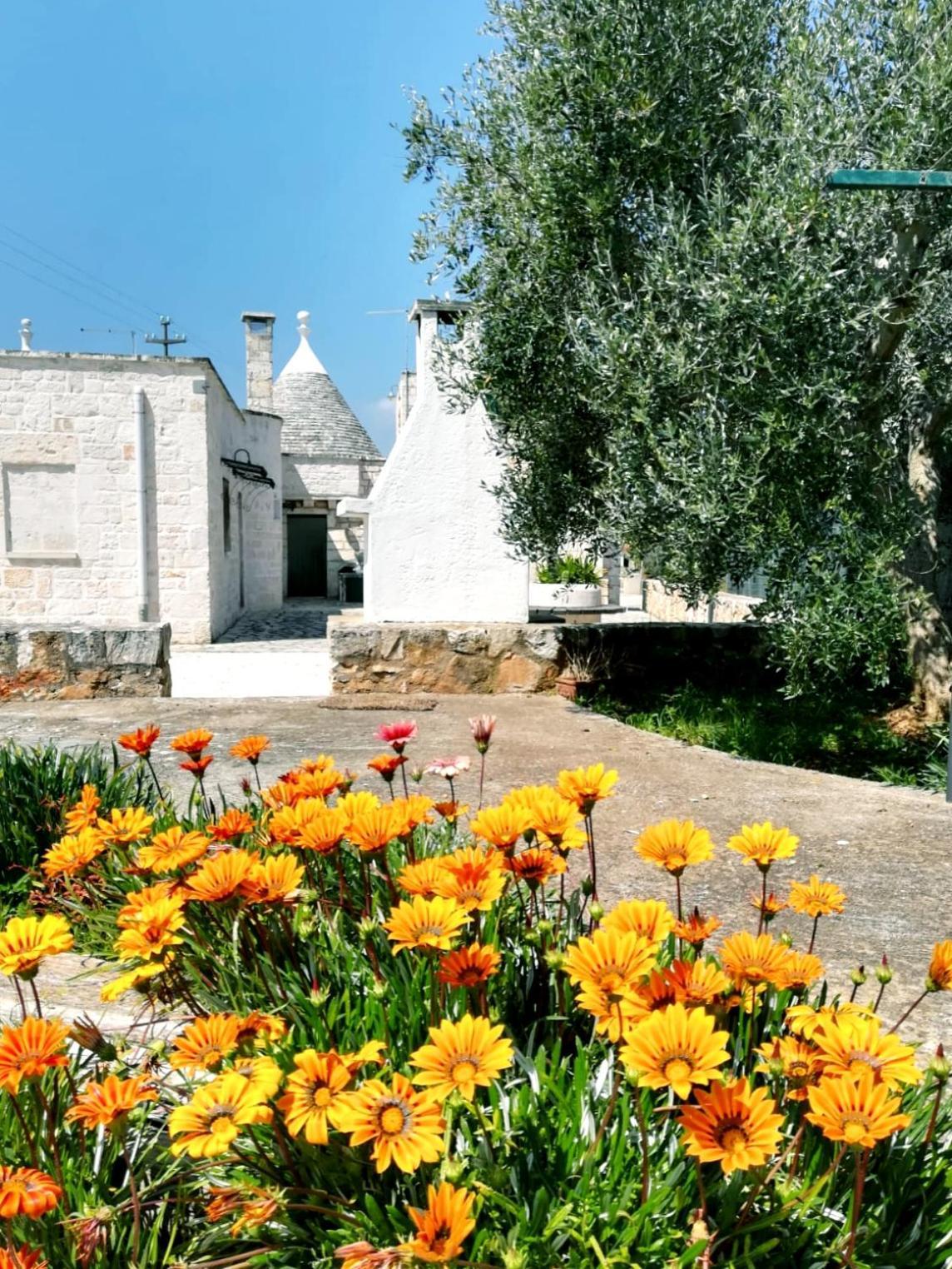 Maison Milleottocento تْشيستيرنِنو المظهر الخارجي الصورة